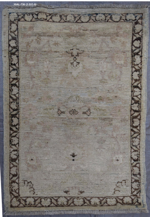 DNI HOME handmade rug 30AL-736, size 2.0 x 3.0